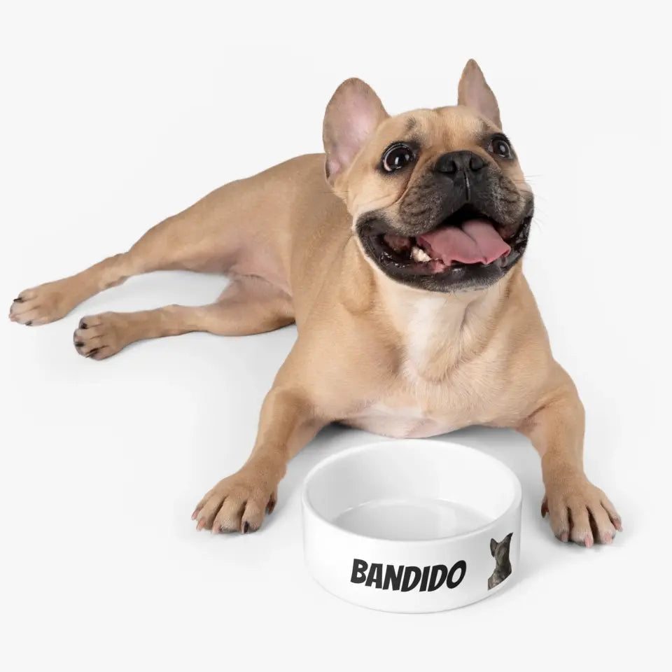 Personalized Ceramic Pet Bowls