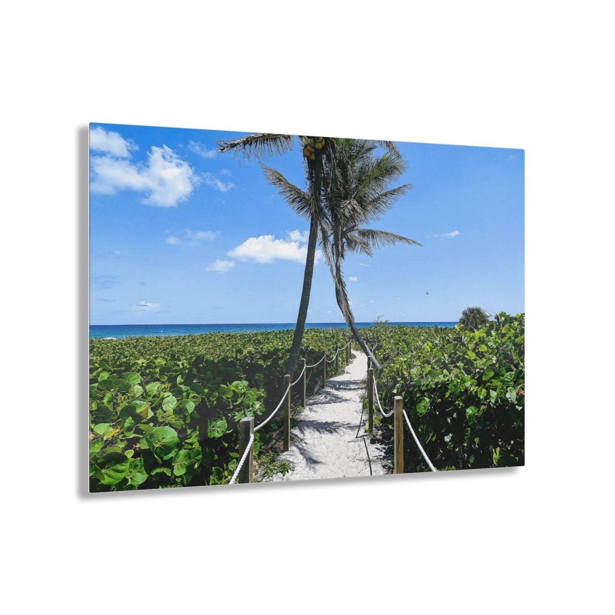 Entering Paradise on Acrylic Glass Wall Art - Cosas y Punto