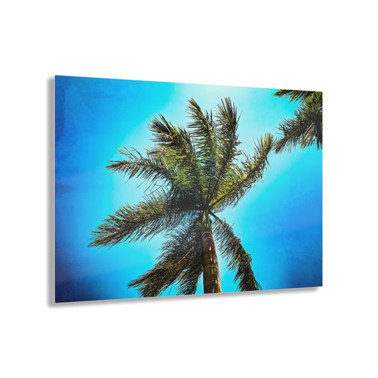 Lone Palm Tree with vibrant skies on Acrylic Glass Wall Art - Cosas y Punto