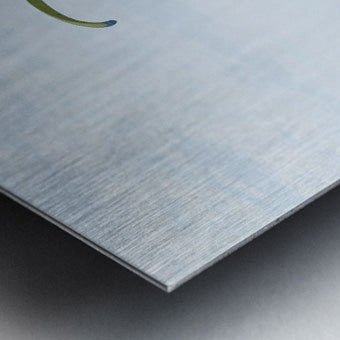 Miraflores Soar: Daylight Elegance - Cosas y Punto