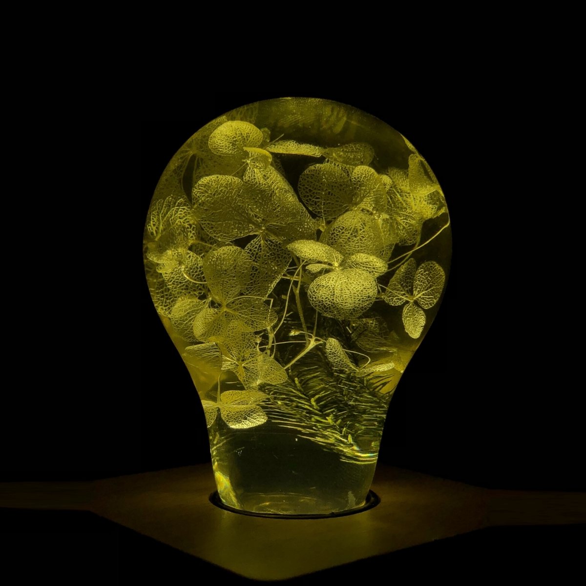 Resin LED Lightbulb Gift Set - 3-Pack LED Lights - Yellow, Pink and Blue - Cosas y Punto