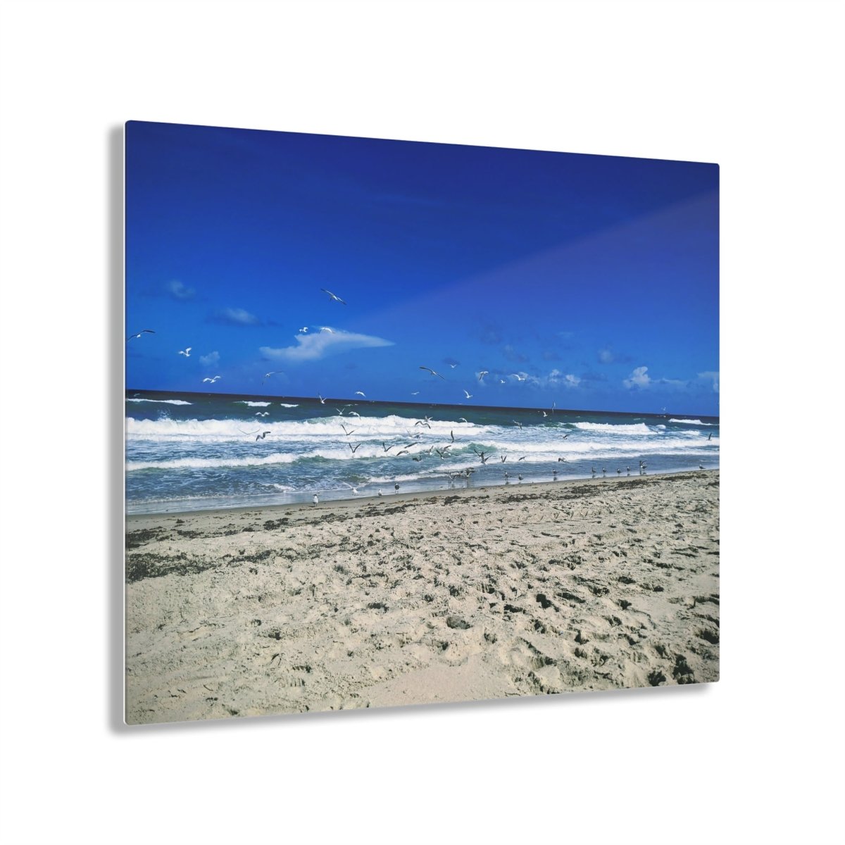 Seagulls on the beach on Acrylic Glass Wall Art - Cosas y Punto