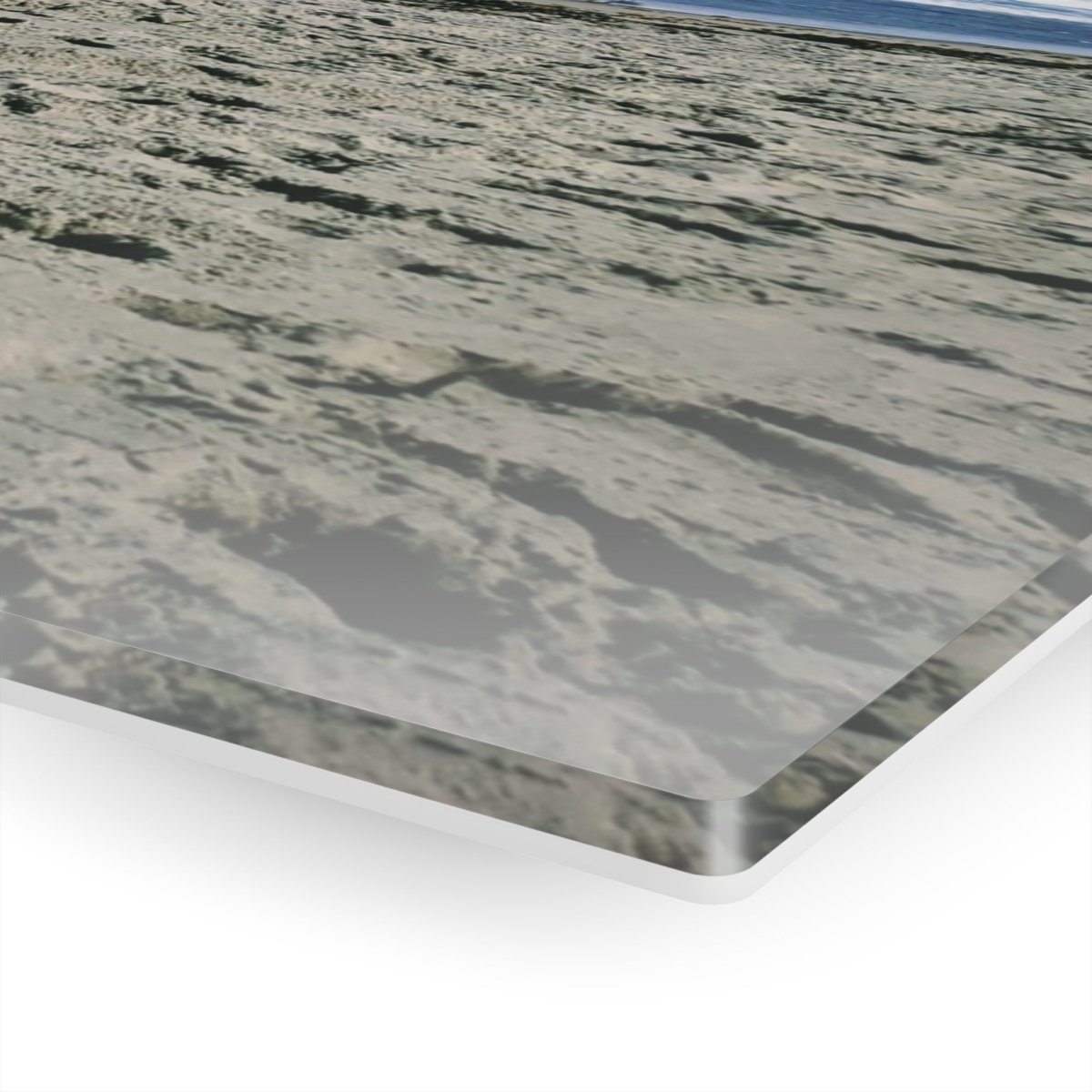 Seagulls on the beach on Acrylic Glass Wall Art - Cosas y Punto