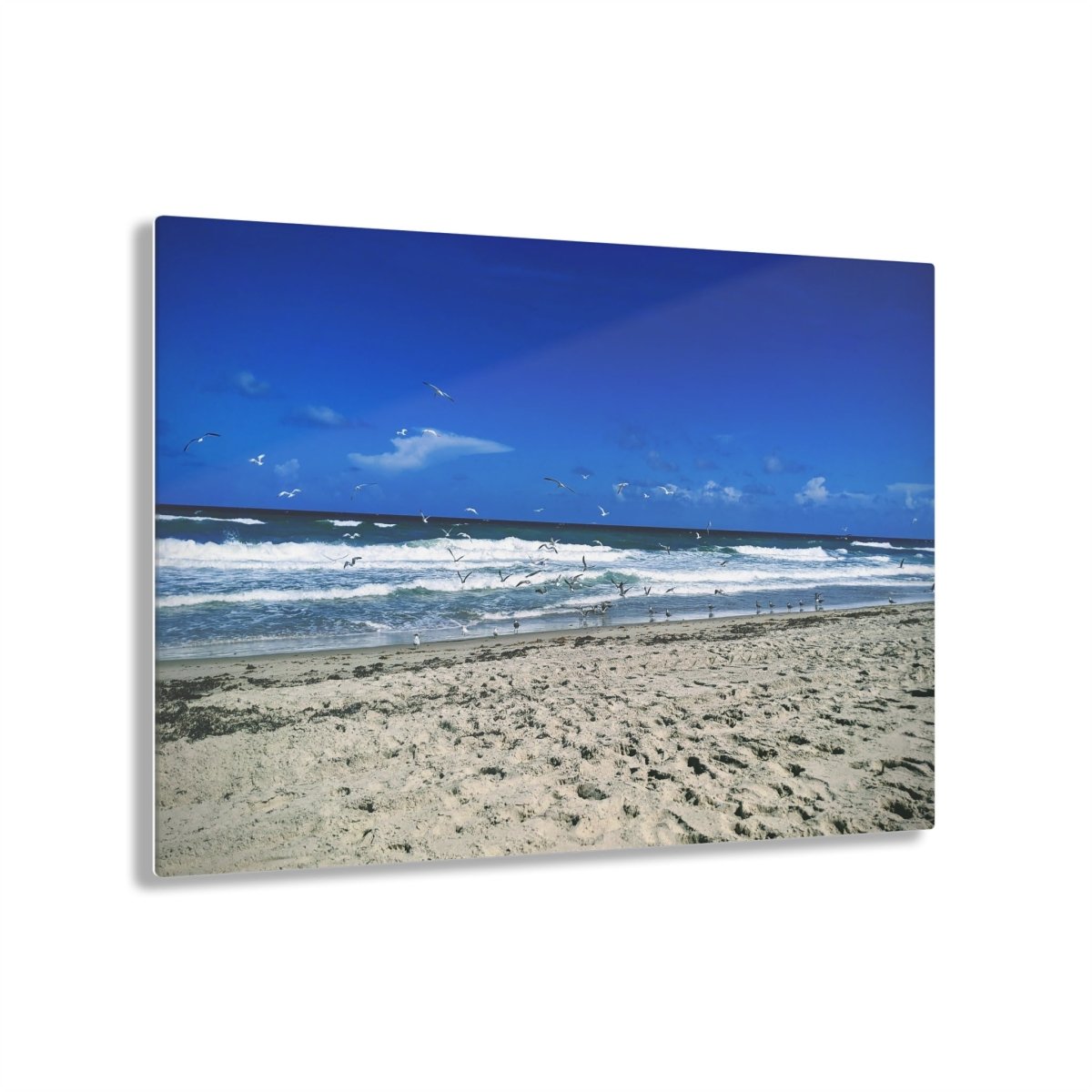 Seagulls on the beach on Acrylic Glass Wall Art - Cosas y Punto