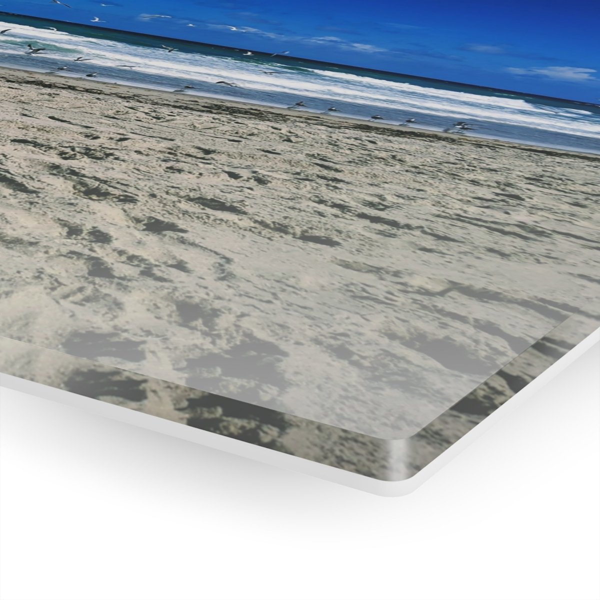 Seagulls on the beach on Acrylic Glass Wall Art - Cosas y Punto