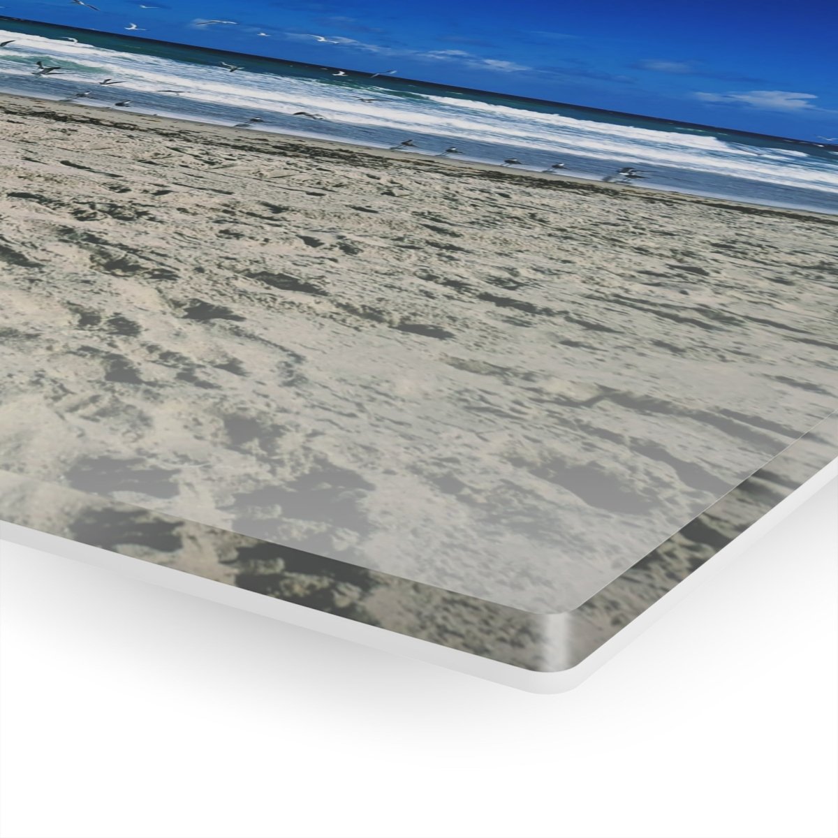 Seagulls on the beach on Acrylic Glass Wall Art - Cosas y Punto
