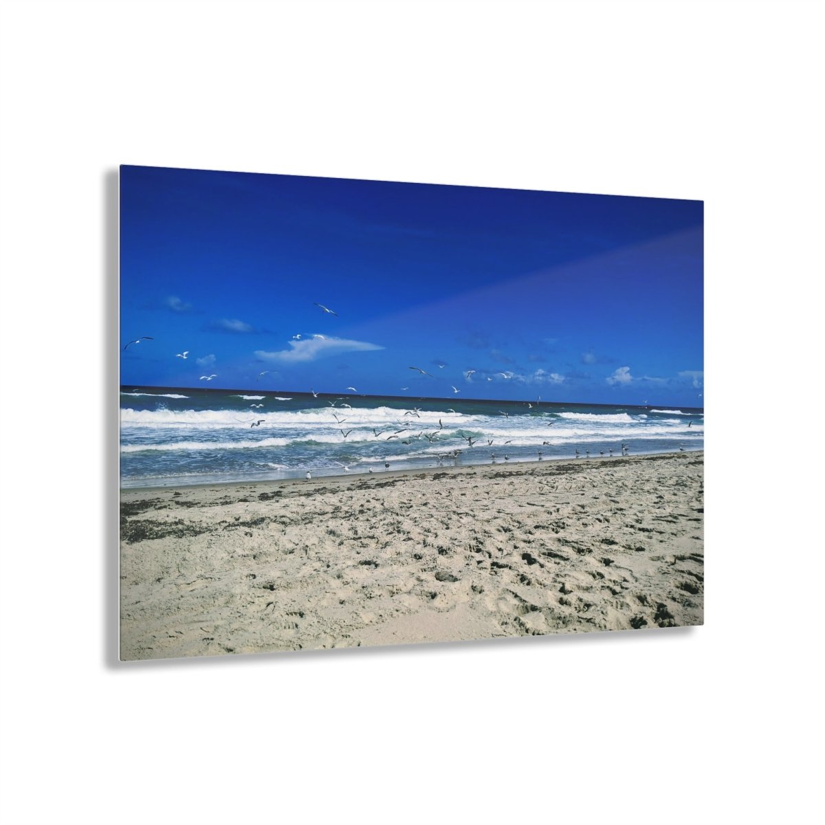 Seagulls on the beach on Acrylic Glass Wall Art - Cosas y Punto