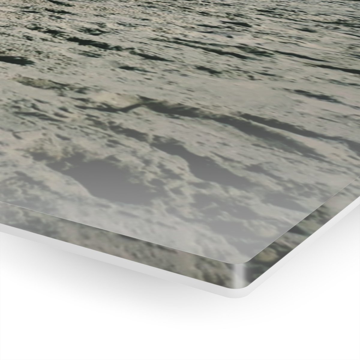 Seagulls on the beach on Acrylic Glass Wall Art - Cosas y Punto