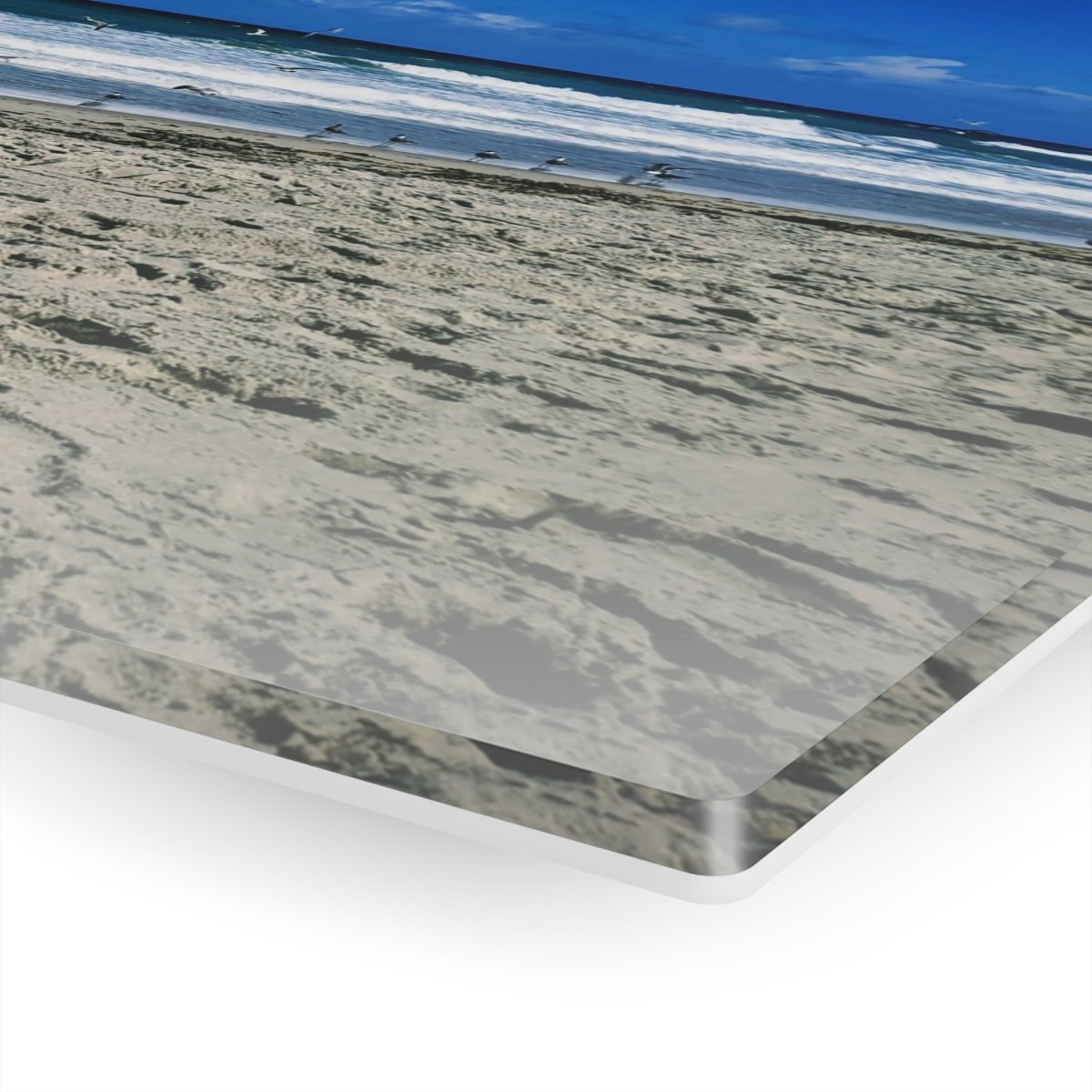 Seagulls on the beach on Acrylic Glass Wall Art - Cosas y Punto