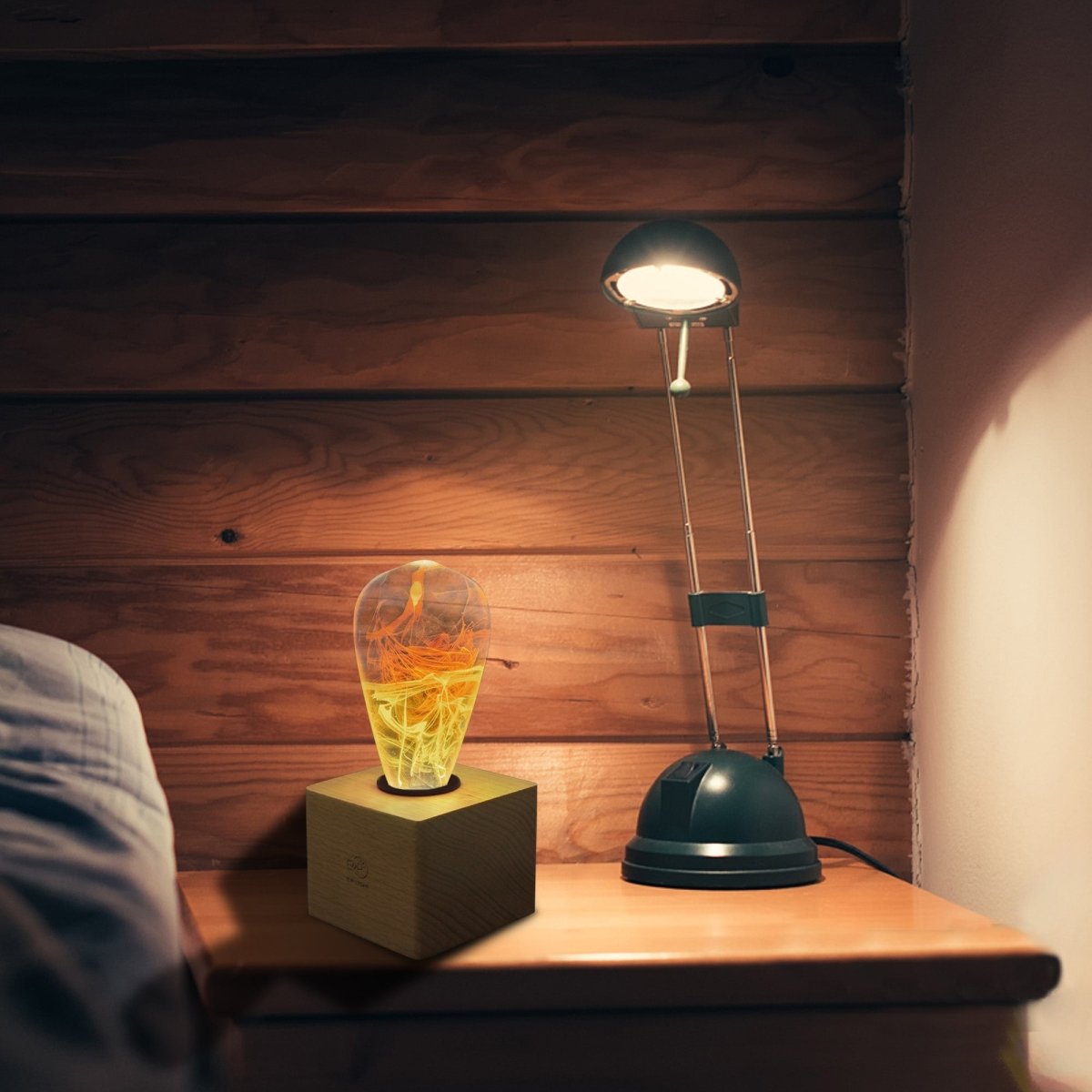 Table Lamp with Resin LED Lightbulb - Solar Corona - Cosas y Punto