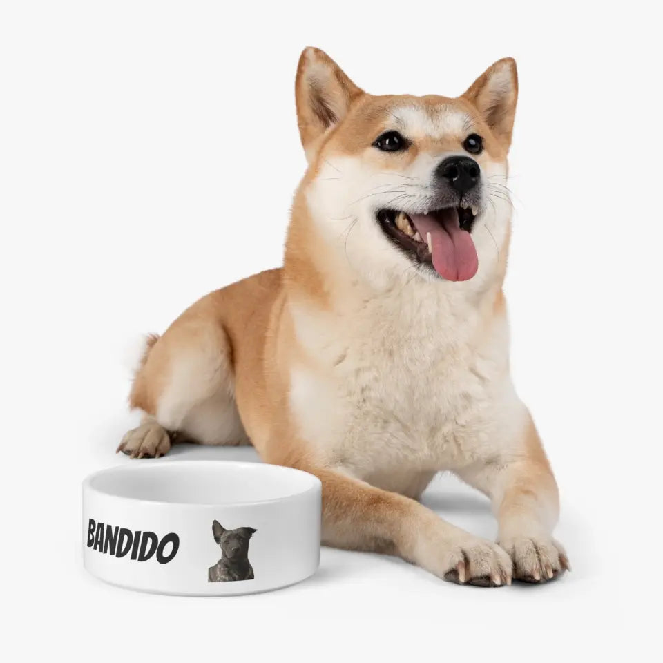 Personalized Ceramic Pet Bowls