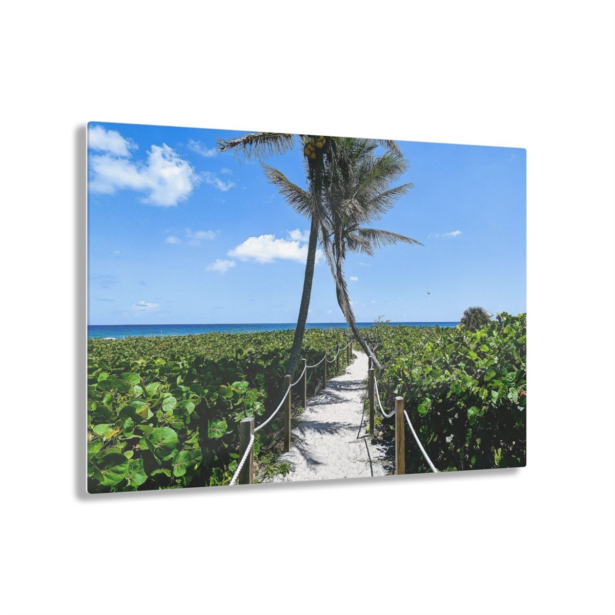 Entering Paradise on Acrylic Glass Wall Art - Cosas y Punto