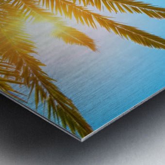 Tropical Canopy Radiance - Wall Art - Cosas y Punto